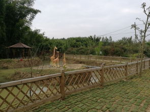 临海动植物园亲子游推荐：一场混乱的冒险