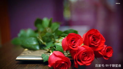 玫瑰星座摄影效果如何？值得尝试吗？