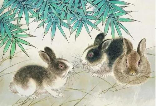 猴、蛇等生肖的高情商解读