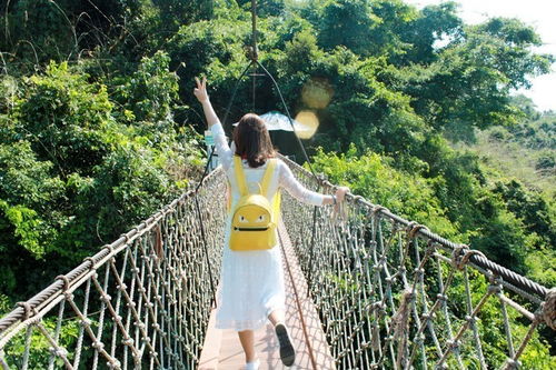 除了索桥景区里还有哪些让人无语的坑爹货色？