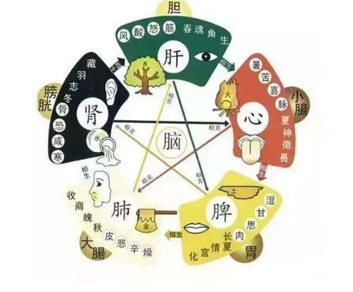 4.3 若炜 — 火光映照绿叶?