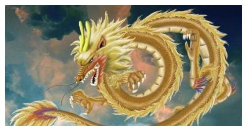 属龙男生和1976年出生的属龙女性格特点分别是什么？