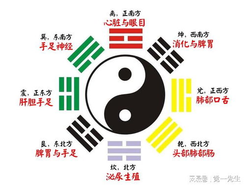2. 宫位分析：内卦与外卦的关系