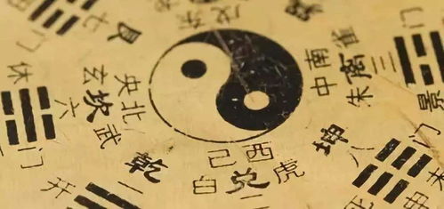 一、 玄学基础：了解命理与五行