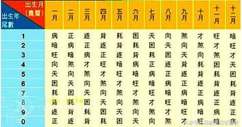 一、 偏财运的定义及其与整体财运的区隔