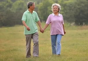 ：家族传承的深层逻辑与精神遗产的构建