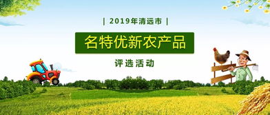 张婶说: