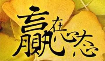 生肖鼠的冷静思辨：理性分析下的破局之道