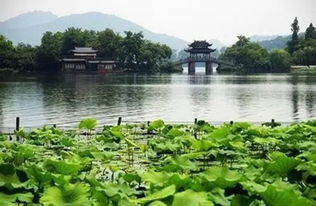 交通大乱炖：怎么去才不会被折腾死？