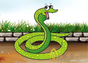 属蛇女性运势化解方向在哪里？六五年出生的属蛇男性今日运势具体是什么含义？