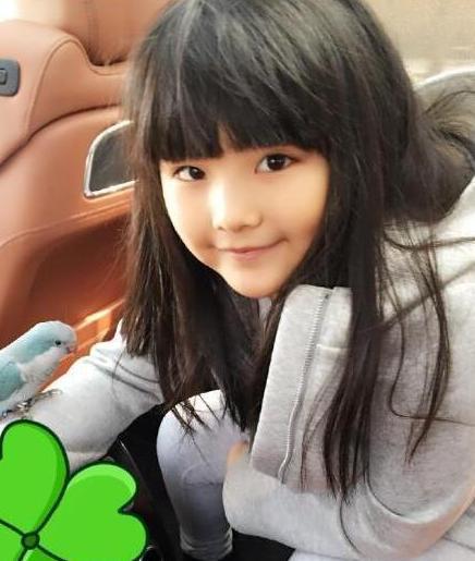 四、国学意境的应用：营造优雅婉约的氛围