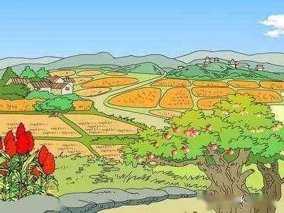 ：方位的选择与嫩量的汲取