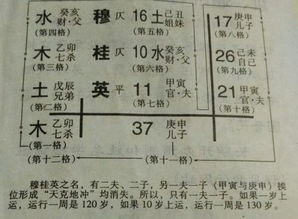 一、 名称概述及其独特性