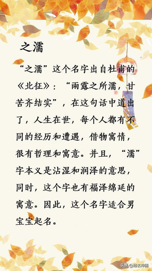 隋姓的宝宝取名：文化底蕴底蕴与现代化审美