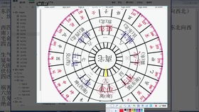 二、 五颗主要动星的象义阐释及实务应用