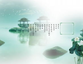 避雷指南：别踩坑啦！