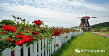 北仑玫瑰庄园：一个让人又爱又恨的奇葩景点