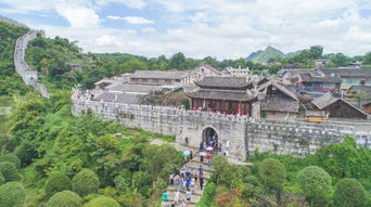 第二天：鸡鸣寺的千年银杏与禅意体验玩法...