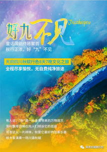 五、#深度文化探秘#——非遗体验+夜间光影秀