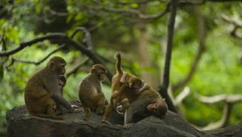 实战演练：那些真实存在的绝美好名