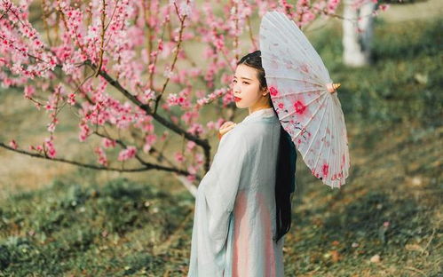 温柔婉约的林婉儿
