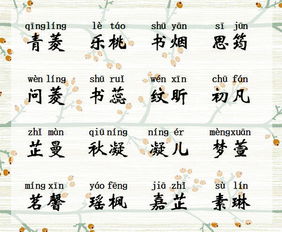 星座与名字的交融