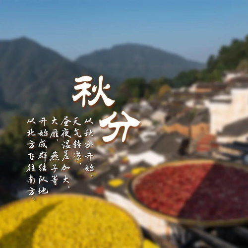 秋分后气候转凉对人体代谢及减肥行为的系统性解析