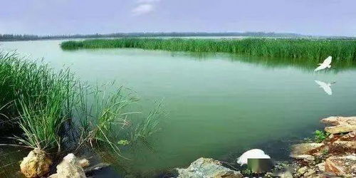 金山湖湿地公园—雨天优惠真实的靠谱吗？