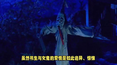 内心挣扎与理性分析