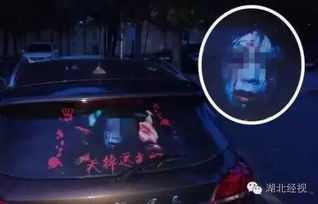 一、 研究背景与现象概述