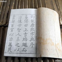 二、 音义解析及用例阐述