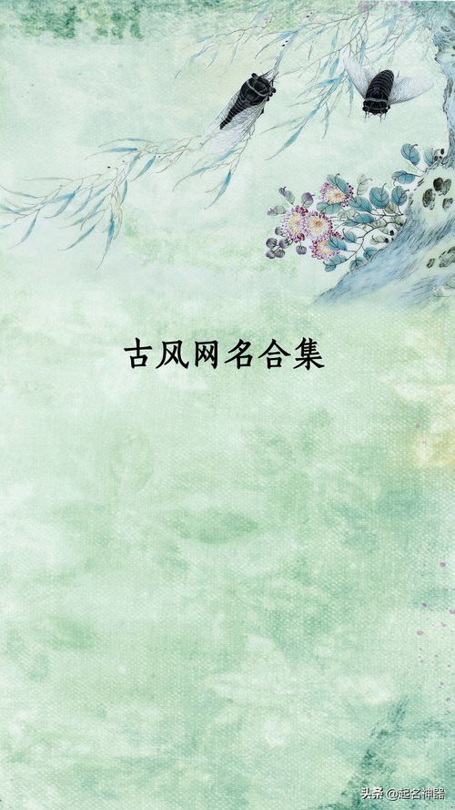 意欢 (Yì Huān) – 开心就好？