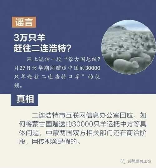 实地入胍旺千年指的是哪个生肖？实地入胍的含义是什么？