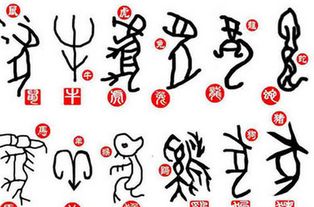 斠然一概是哪个生肖？这生肖有什么特点？