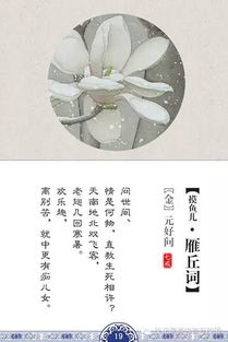 1. 对称呼应的设计