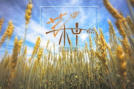 三、  芒种时节与商业开业的战略耦合
