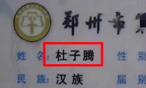 参考诗词歌赋