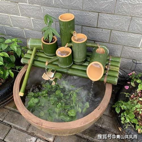 幸运植物——生机与吉祥并举