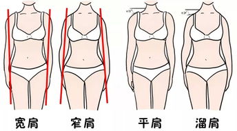 二、 不同肩部特征对应的命运倾向