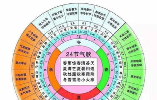 一、 癸卯年的命理框架与基本概念