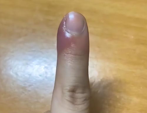 女性群体视角中的蜗纹解读：从“一”“二”到“九”“十”