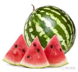 三、 “贴秋膘”食疗推荐：兼顾营养与时令