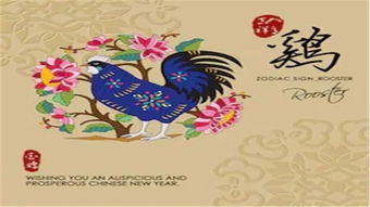 生肖虎：贵人相助， 职场前景光明