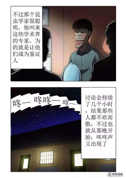 2．主体性与客体性的交互冲突