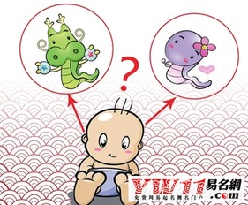 蛇宝宝取名的特殊性：别跟我提啥“龙凤呈祥”