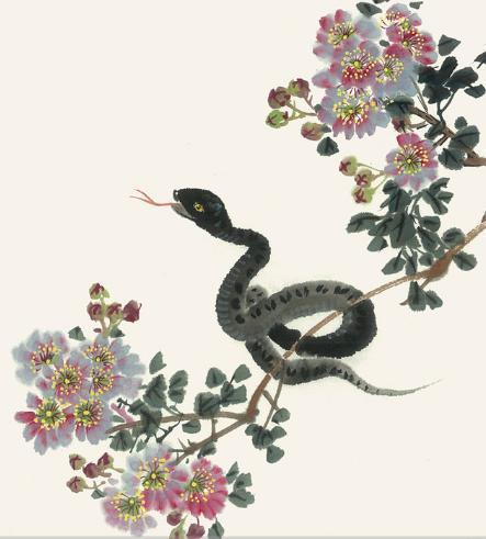 五燕六雀对应什么生肖？银线穿柳对应什么生肖？