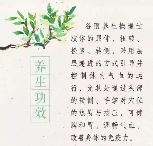 藏风聚气：自然景观与气场营造