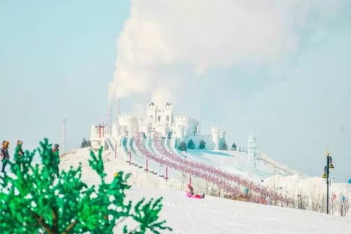 5. 注意事项：小心你的钱包和身体