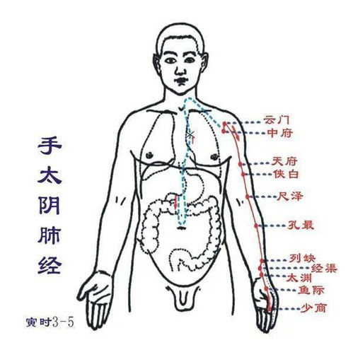 3.2 双眉之间: 胸阳痹阻与心系机能失常之预警