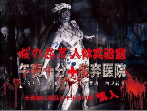 千年古墓的神秘面纱